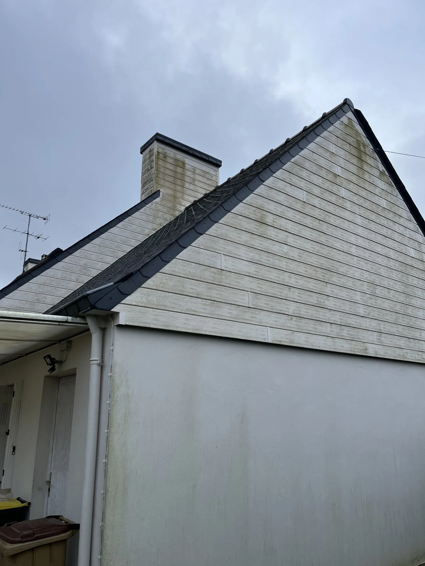 Img 7853